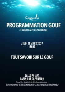 PROGRAMMATION GOUF